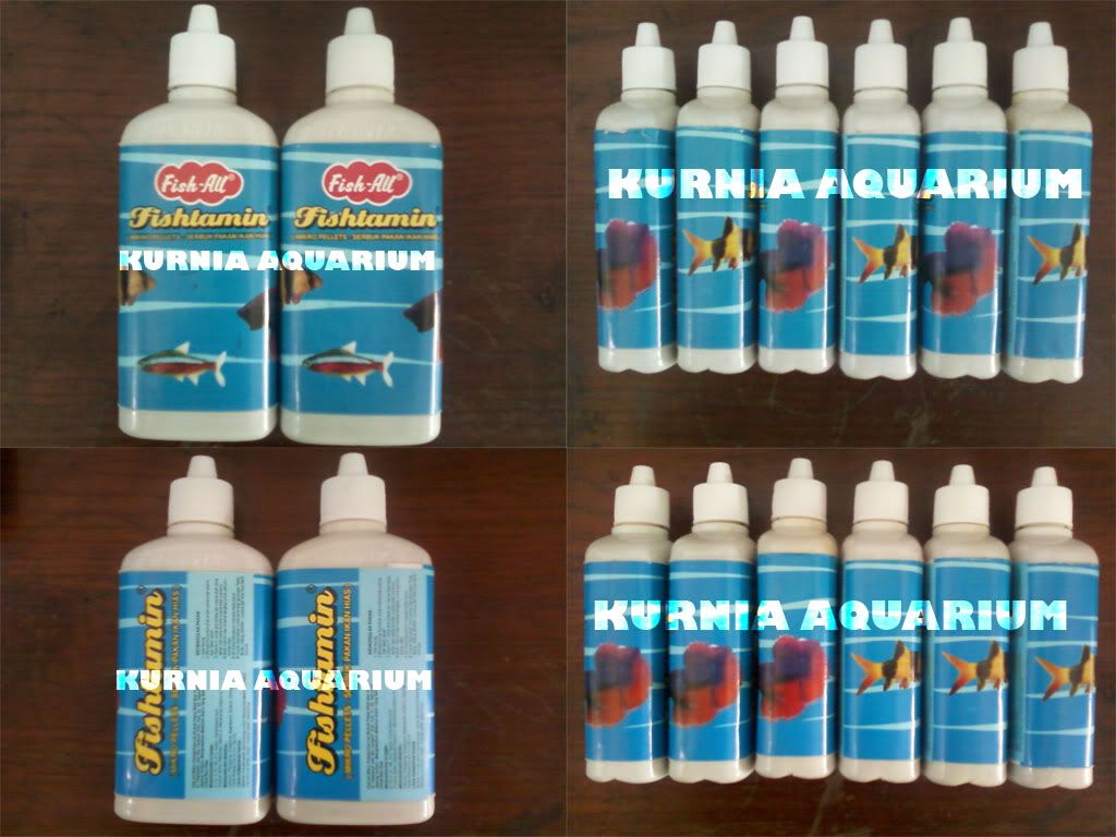 pakan ikan hias air tawar kaskus archive pakan ikan hias air tawar kaskus archive