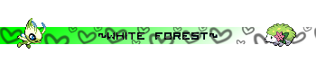 WhiteForest-1.png