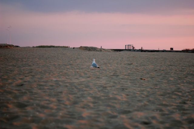  photo Whathappensonthebeachdoesntstayonthebeach15.jpg