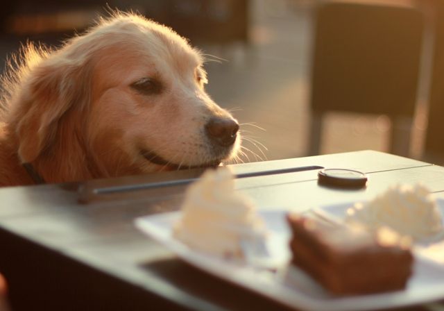  photo Whathappensonthebeachdoesntstayonthebeach7.jpg