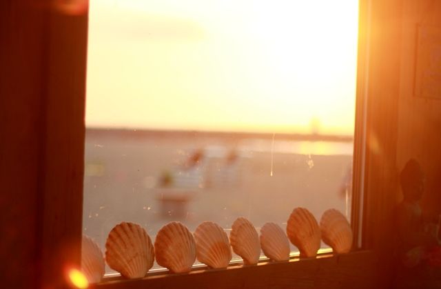  photo Whathappensonthebeachdoesntstayonthebeach9.jpg