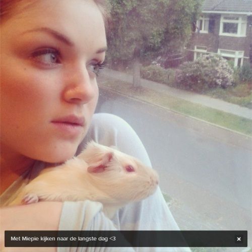 photo langstedag21juni2013cavia.jpg