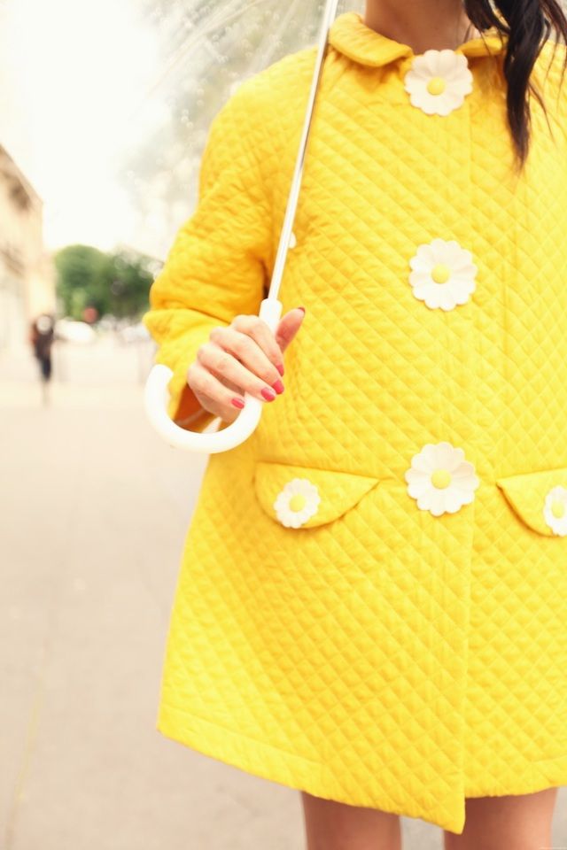  photo vivettapippocoat.jpg