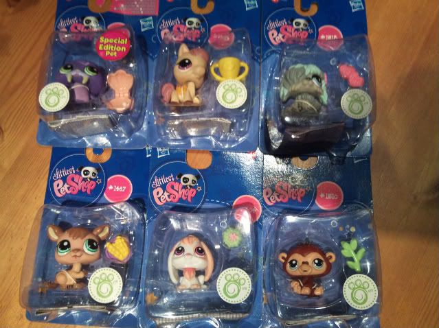 2011-12-10191509.jpg