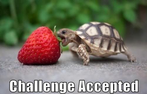 How-Much-Can-You-Eat---Funny-Turtle-vs-Strawberry.jpg