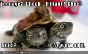 funny-pictures-tmnt-turtles-300x184.jpg