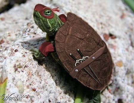 lil-ninja-turtle.jpg