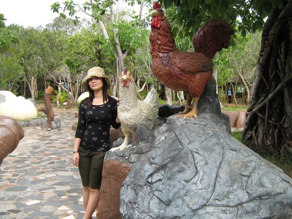 Hình ảnh