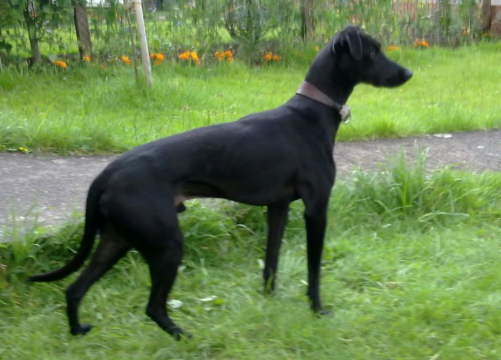 20072012241.jpg
