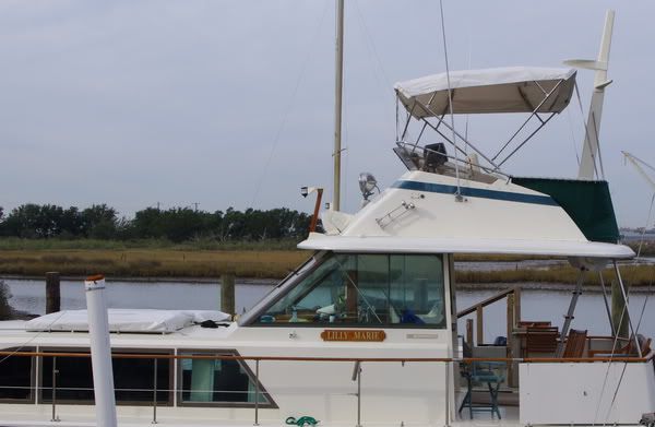 IMGP7490rc.jpg