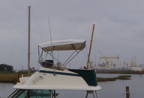 IMGP7307rc.jpg