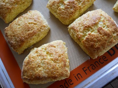  photo DSCN1727_zps5ab4c85d.jpg