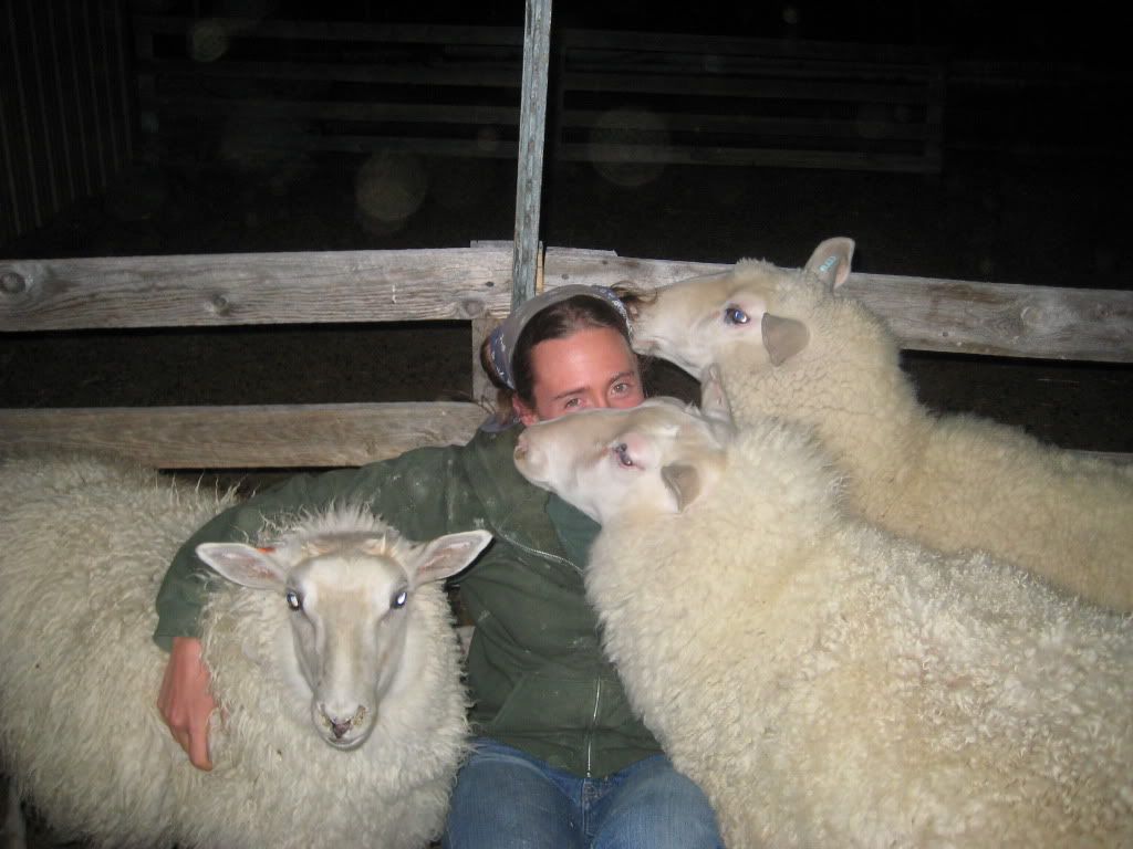 Favorite meat animal - Homesteading Questions