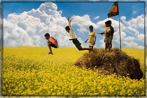 Bijoy Dibosh Photo Picture