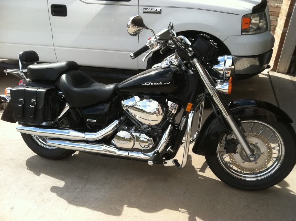 honda shadow phantom mustang seat