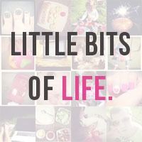 littlebitsoflifebadge