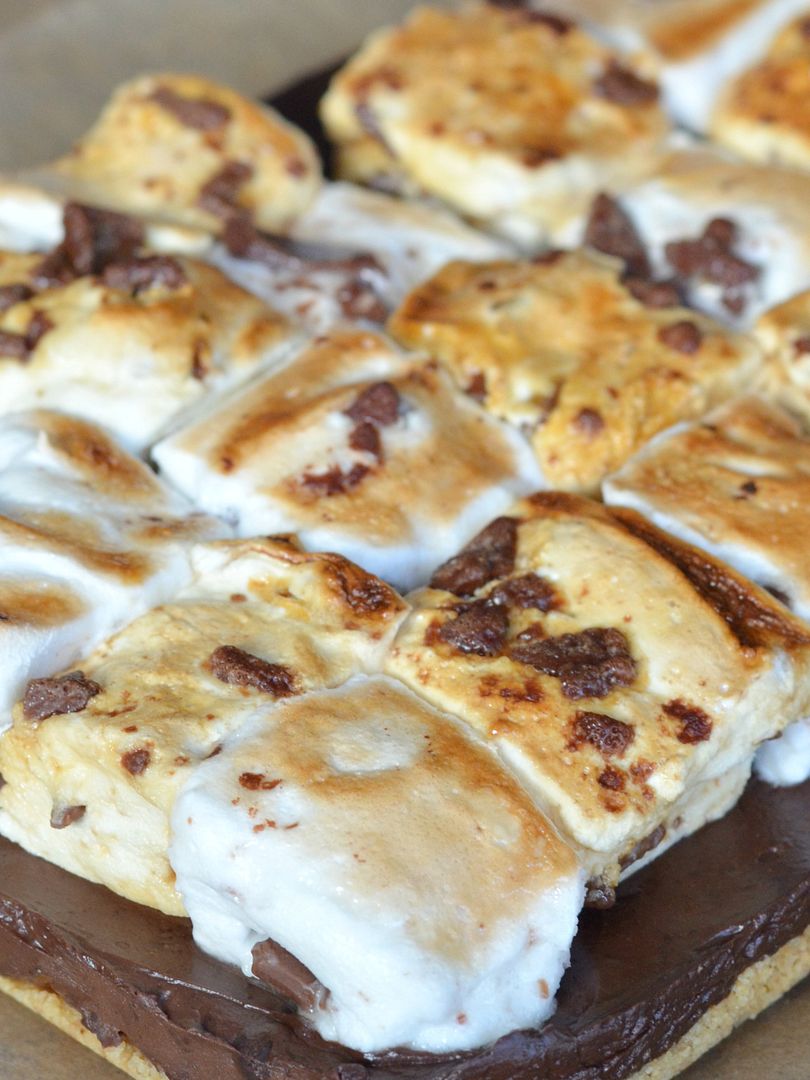 photo smores bites 1_zpsffedfzd5.jpg