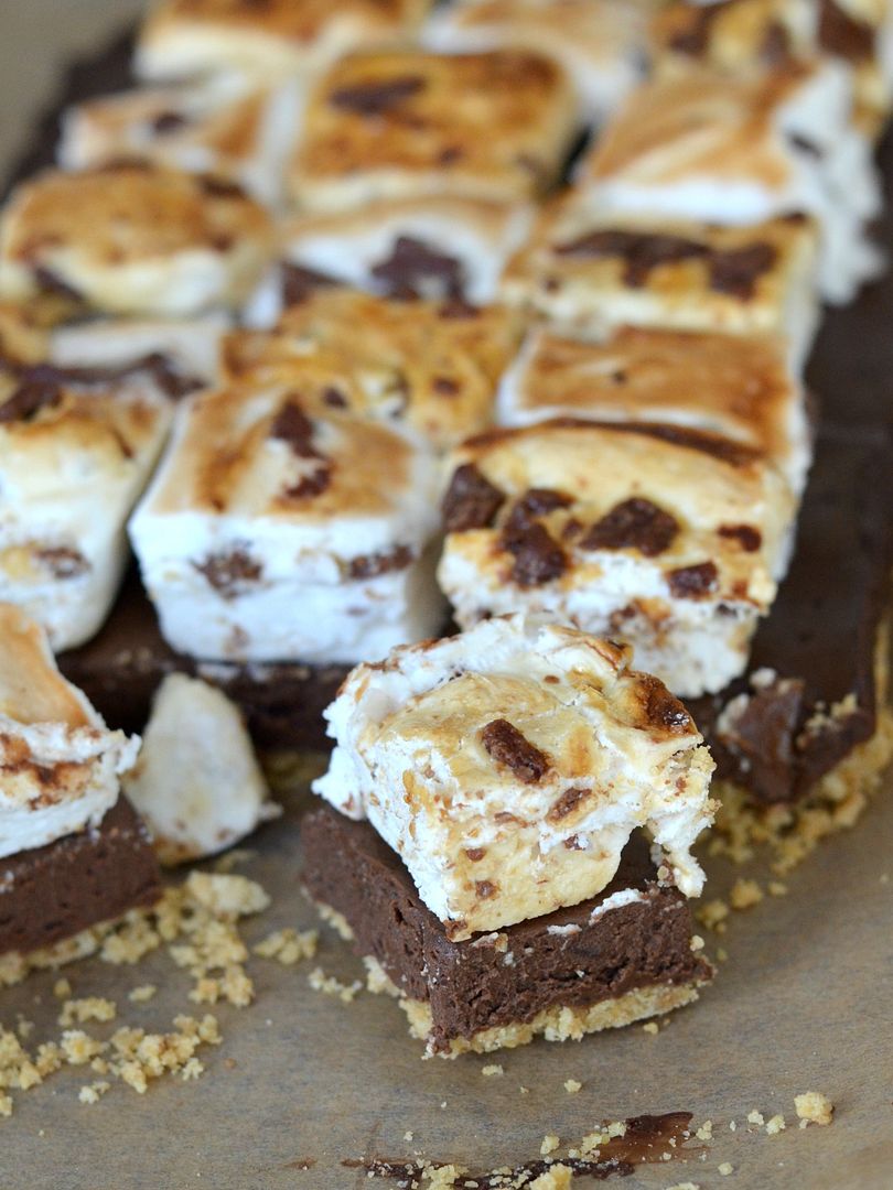 photo smores bites 2_zpsifi11bzq.jpg
