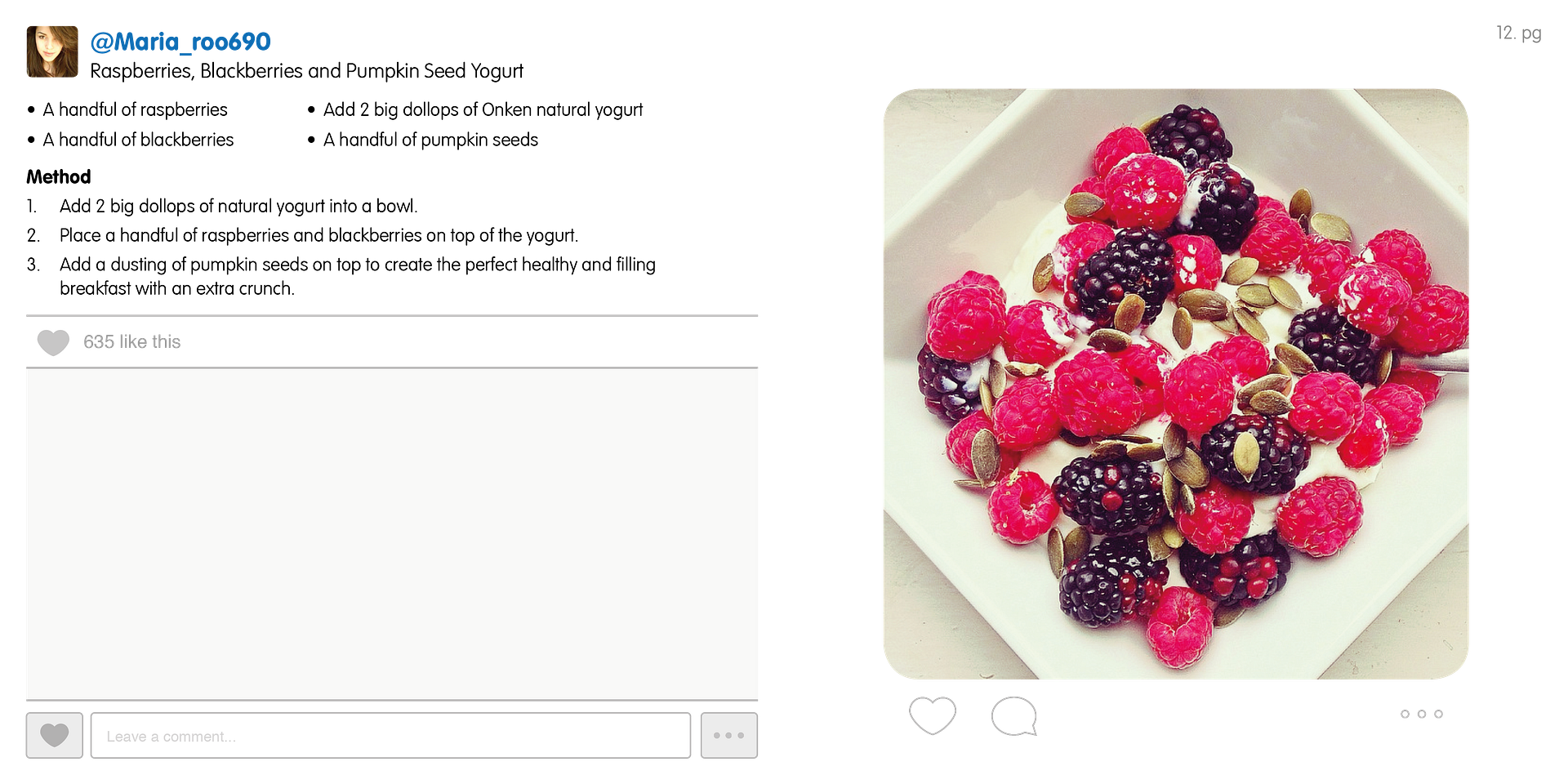 photo Onken Instagram Recipe Book8_zpswuvz2tc6.png