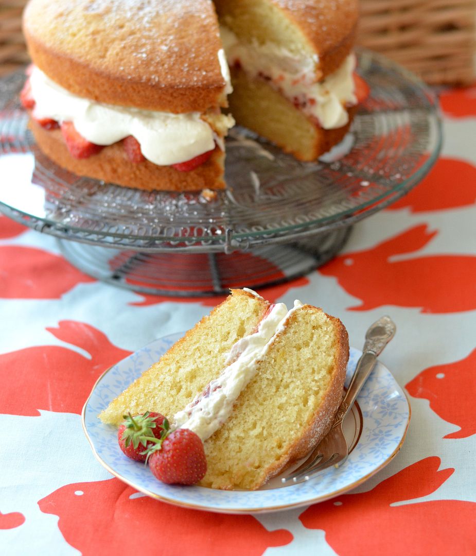 Elizabeth Sponge with Lactofree #SayYestoSummer