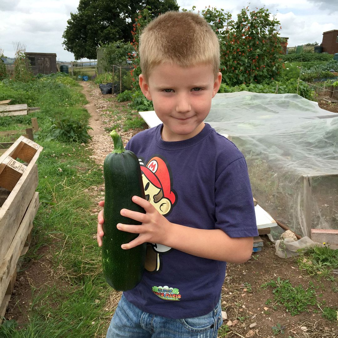 photo jack courgette_zpsfulyxeqm.jpg