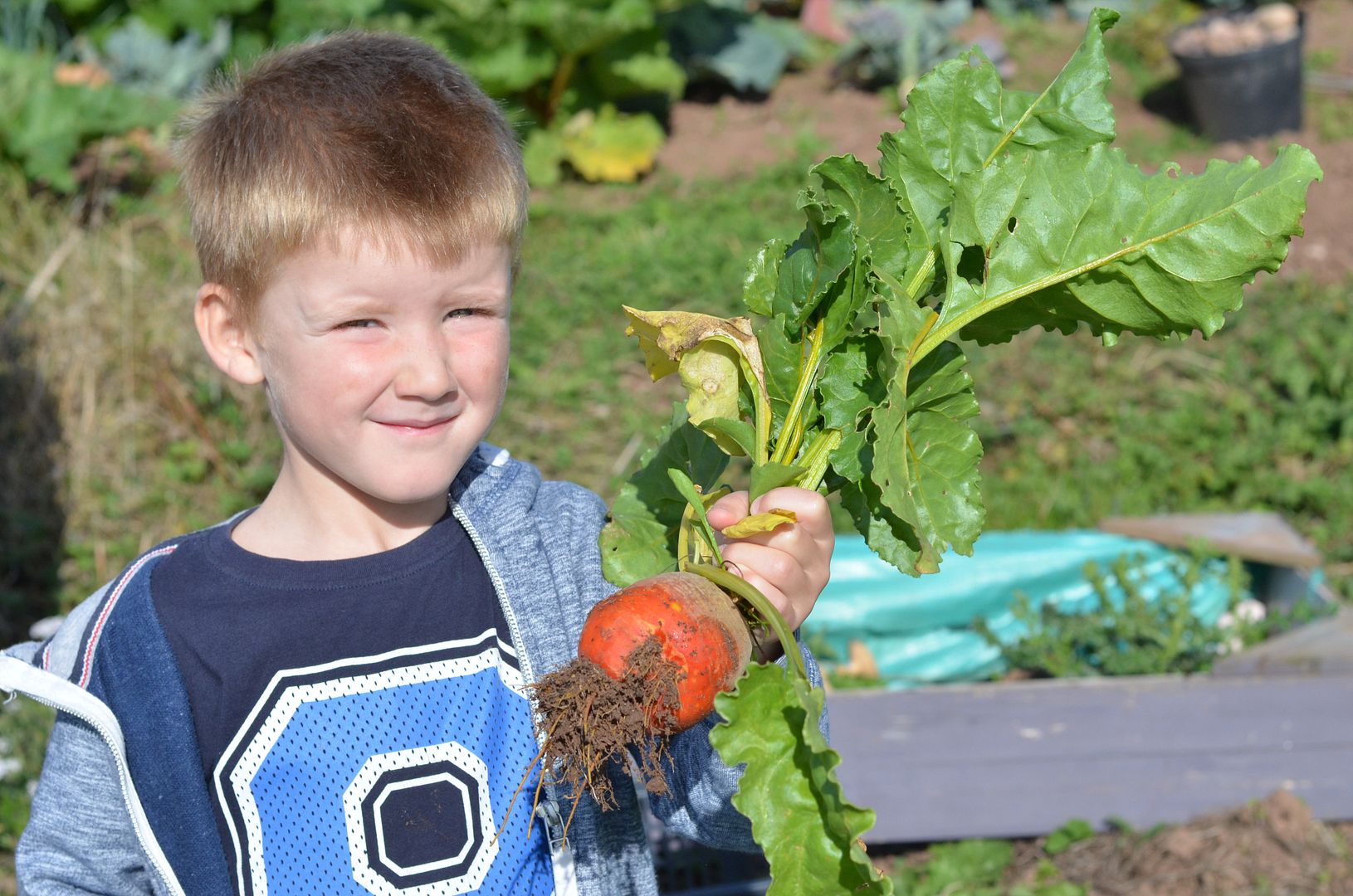 at the allotment