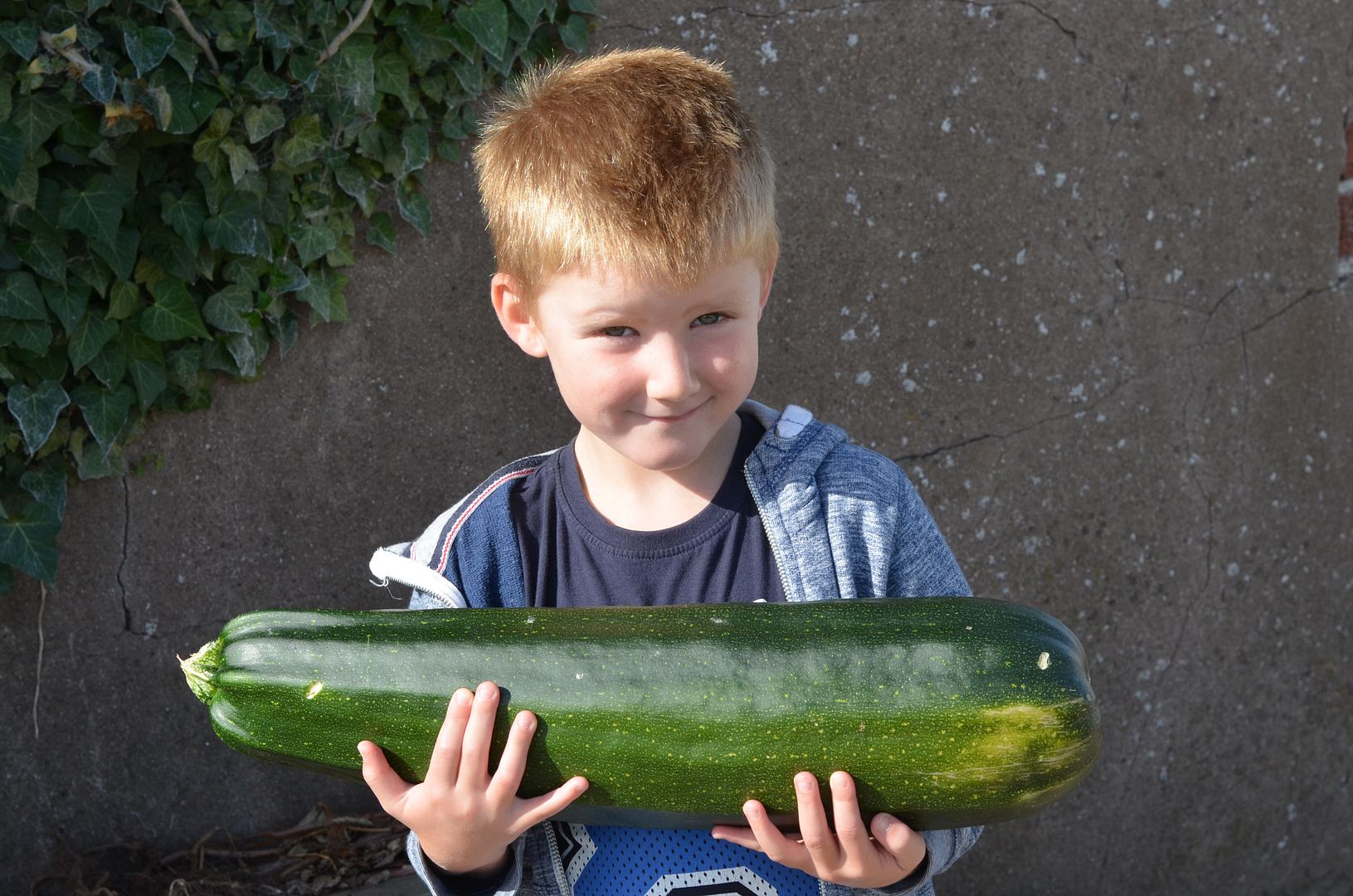 at the allotment