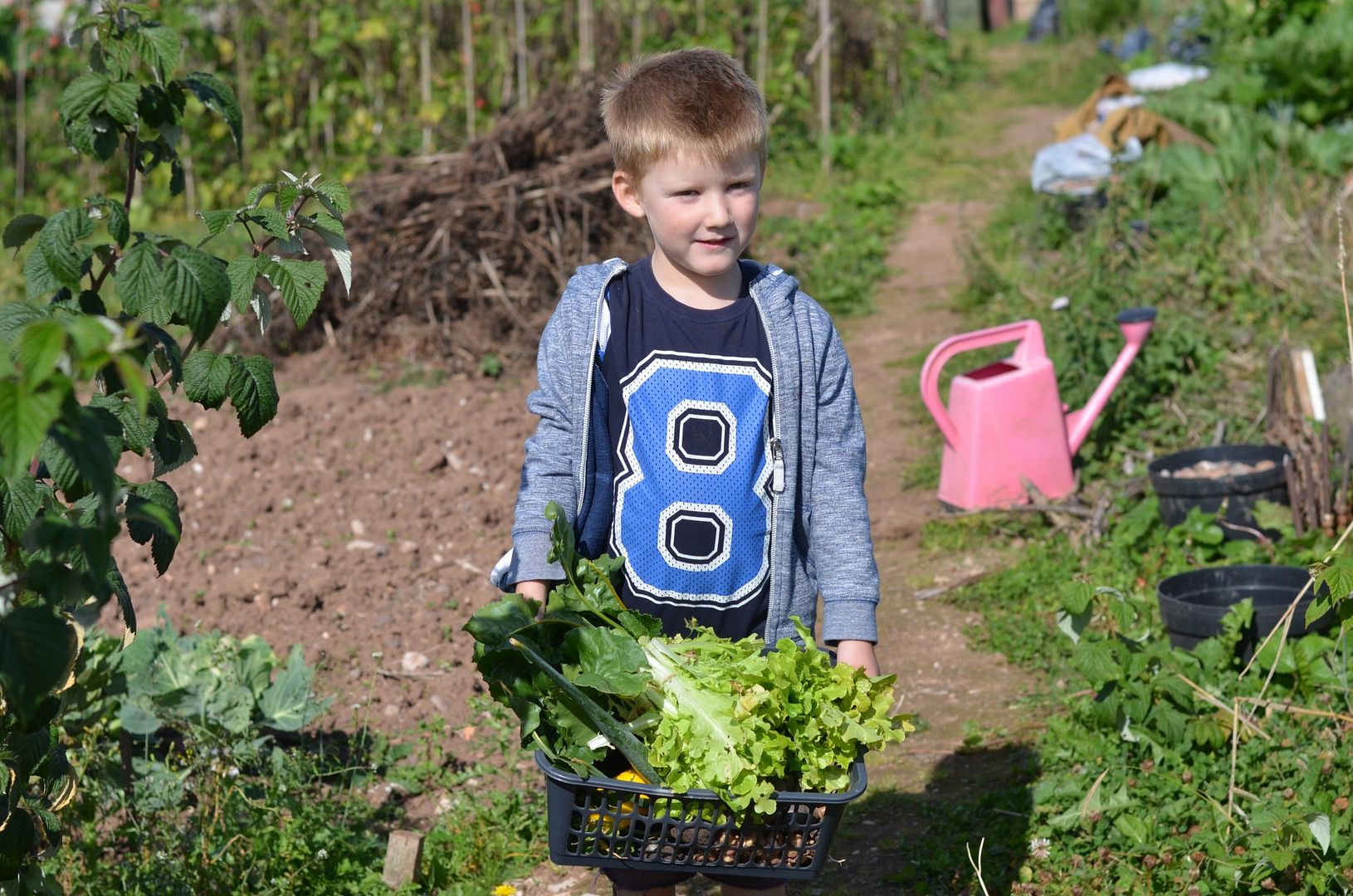 at the allotment