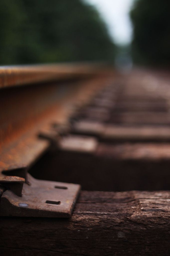 IMAGE: http://i1123.photobucket.com/albums/l560/mikeweddle22795/IMG_6975copy.jpg